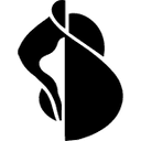 Dr. med. Laura Boroleanu