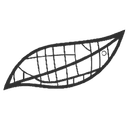 Dr.med. Ragna von Pelchrzim