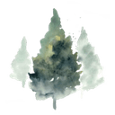 Dermatology Clinic Dermatology Associates