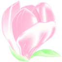 Cabinet Dermatologie Brasov