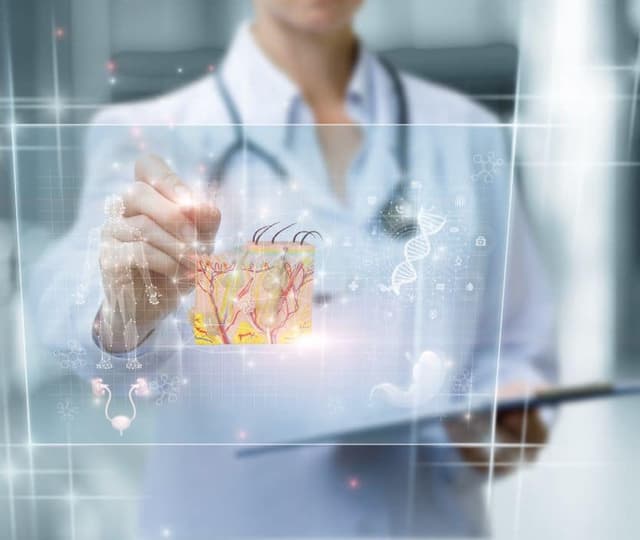 Dr. Maria David desen structura pielii