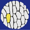 Dr. Adrian Borcea Cabinet Dr. Borcea Adrian