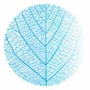 Frauke Welke-Reichwein