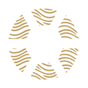 Dr. med. Dr. med. Michael Steger