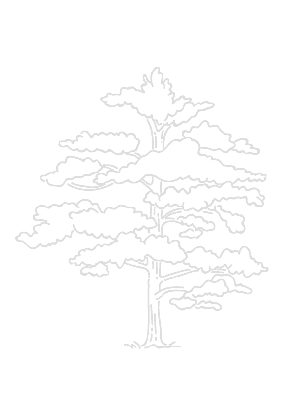 Ogres Veselības Centrs