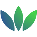 Bőrgyógyász Dr. Molnár Katalin