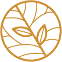 Medic Specialist Dermatovenerologie Dr. Misailoaie Denisa – Mihaela