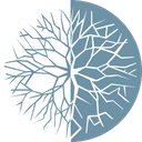 Dermatologista Leonor Lopes