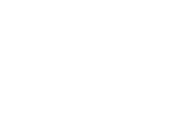 iso 9001 ikon