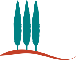 Dr.med. Geyer-Nüsslein Carola Dr.med.