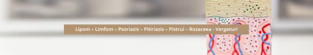 Lipom – Limfom – Psoriazis – Pitiriazis – Pistrui – Rozaceea - Vergeturi