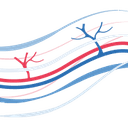 Dr. Dr. Wim Schaefer