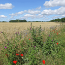 Dr. med. Privatpraxis Dr. med. Annette Brosin Hautärztin