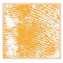 Fachärztin für Haut- und Geschlechtskrankheiten Dr. Christa Forstinger