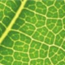 Hautärztin Dr. Beatrix Gasser