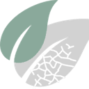 Dr. med. Dr. med. Detlef Berger