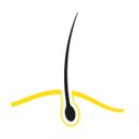 Hautarztpraxis Ray Tjarma