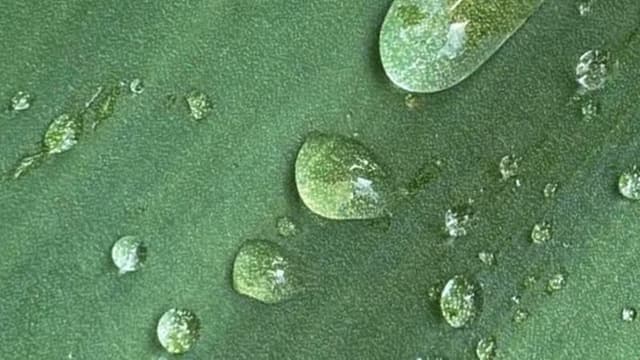 Wrinkle treatment-Filler-Profhilo®