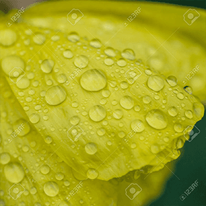 Jacques Horstmann Hautarzt Hannover Kleefeld Dermatologie