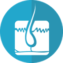 Dr. med. Dr. med. Claudia Renn