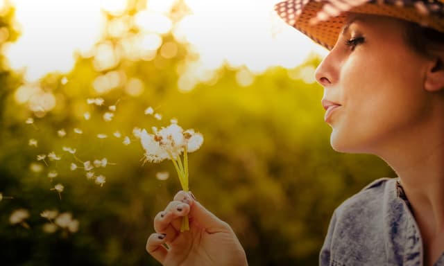 teaser-hautarztpraxis-ehlen-kassel-allergologie-min